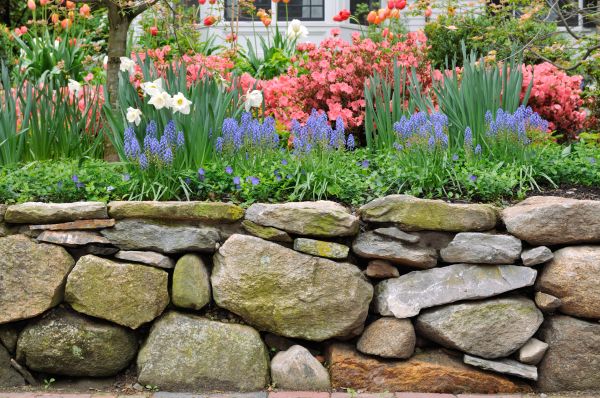 Stone Wall Hardscaping in Laurel