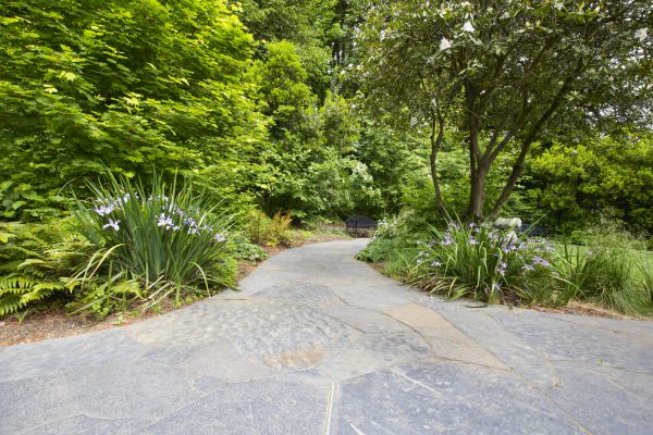 Stone Hardscape Service in Laurel